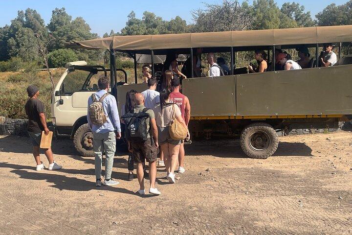 Aquila Big 5 Safari + Lunch Buffet + Pick & Drop from CAPE TOWN