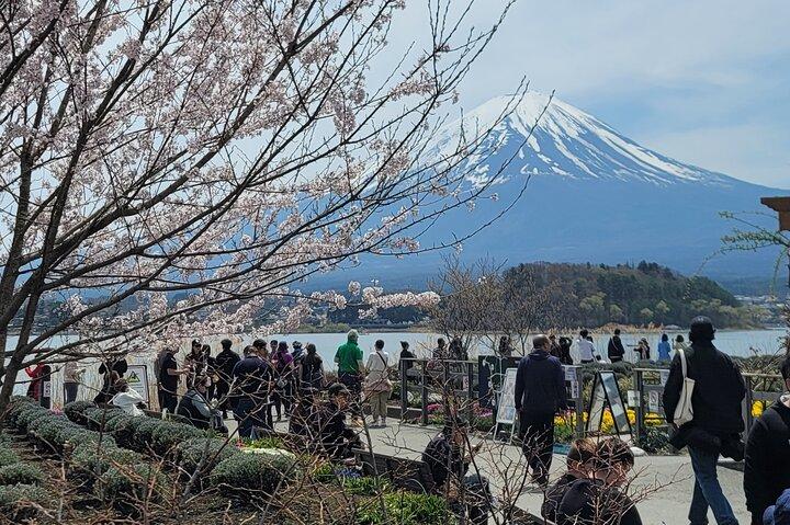 Private Car tour to Mt. Fuji/Hakone with English Driver/Guide