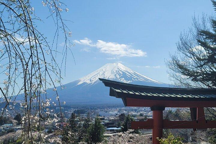 Private Car tour to Mt. Fuji/Hakone with English Driver/Guide