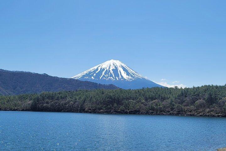 Private Car tour to Mt. Fuji/Hakone with English Driver/Guide