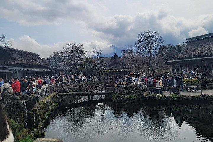 Private Car tour to Mt. Fuji/Hakone with English Driver/Guide