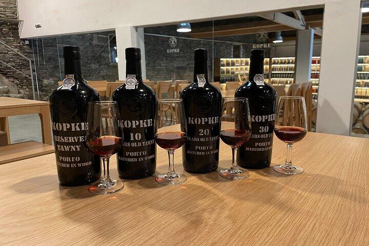 Douro Valley and Wine Day Trip from Porto