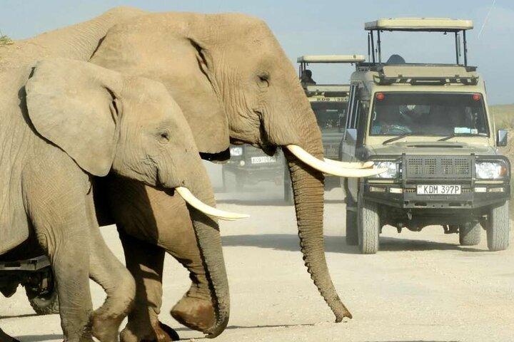 9 Days Tour on Kenya Wildlife Safari via 4x4 Land Cruiser Jeep