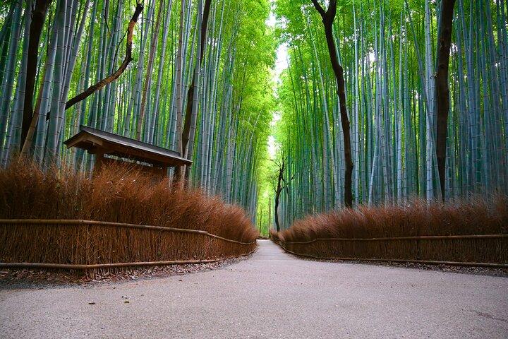 Private Day Tour - Kyoto Arashiyama & Bamboo Forest Perfect Tour!