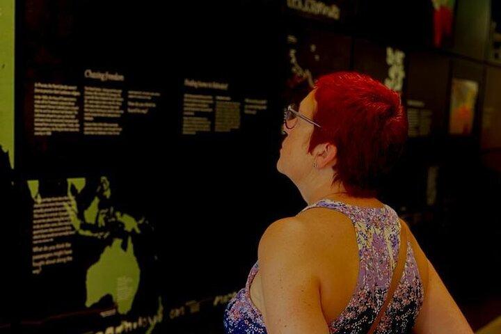 Hahndorf and Hills Wine and/or Gin Tour
