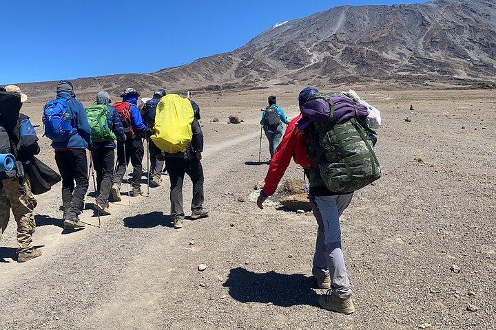 5 Days Hike Tour in Kilimanjaro Marangu Route