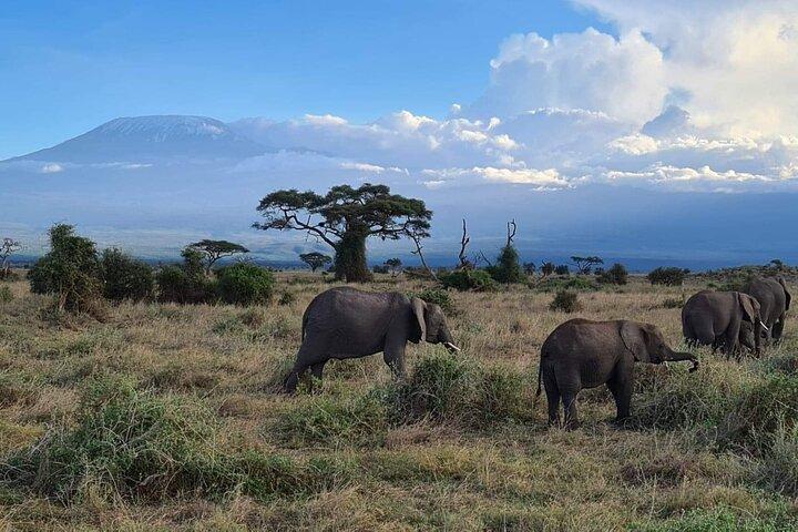 5 Day Affordable Wildlife Safari in Kenya