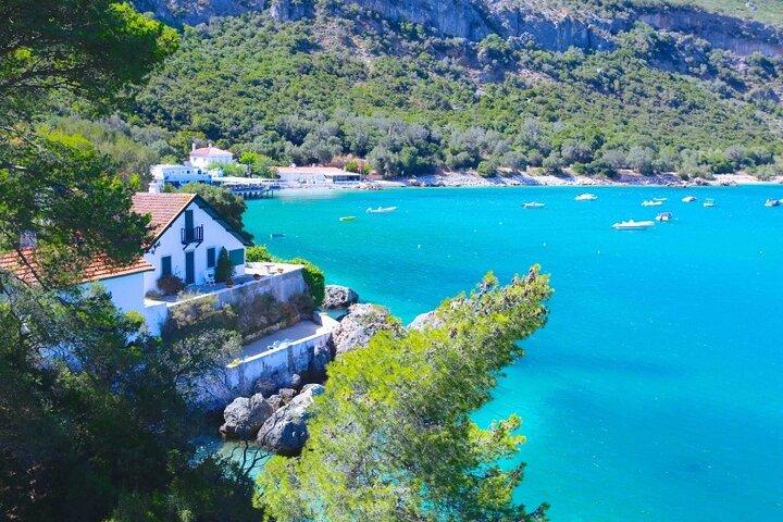 Arrábida Full Day Private Wine Tour and Food Tasting