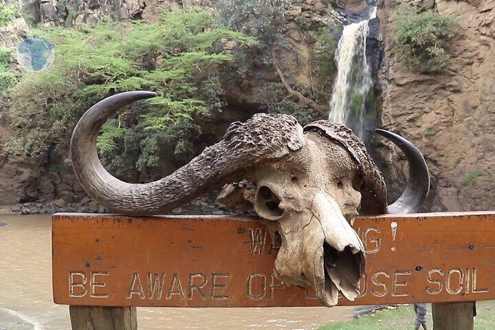 Day Tour to Lake Nakuru Park with Optional Boat Ride in Naivasha