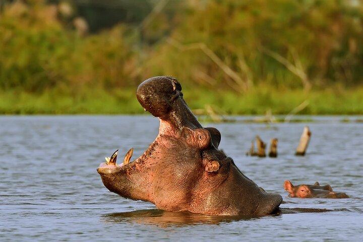 Small Group Tour to Nairobi National Park World Wildlife Capital