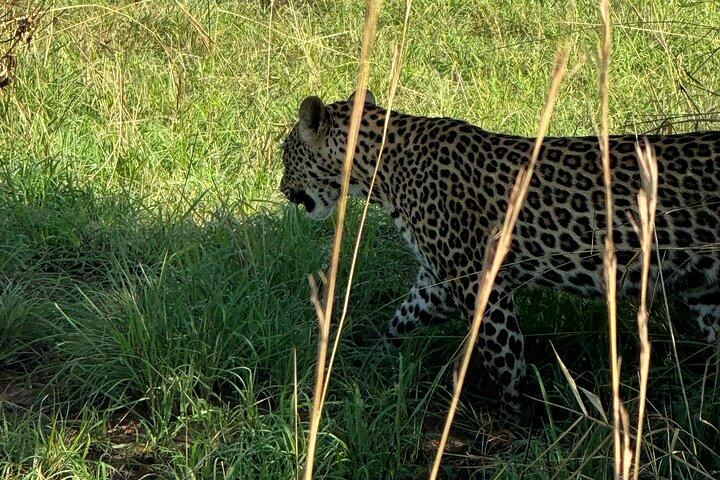 3 Days Murchison Falls National Park Safari & Rhino tracking