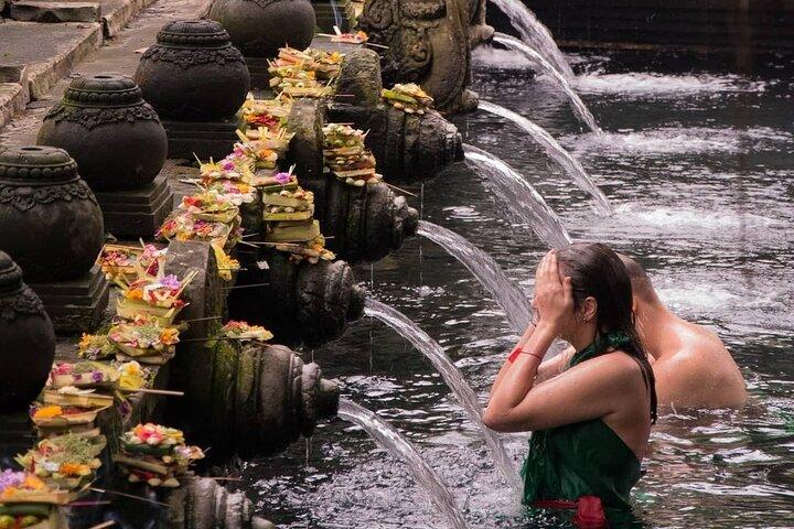 Ubud Monkey Forest, Rice Terrace & Tirta Empul Temple Tour