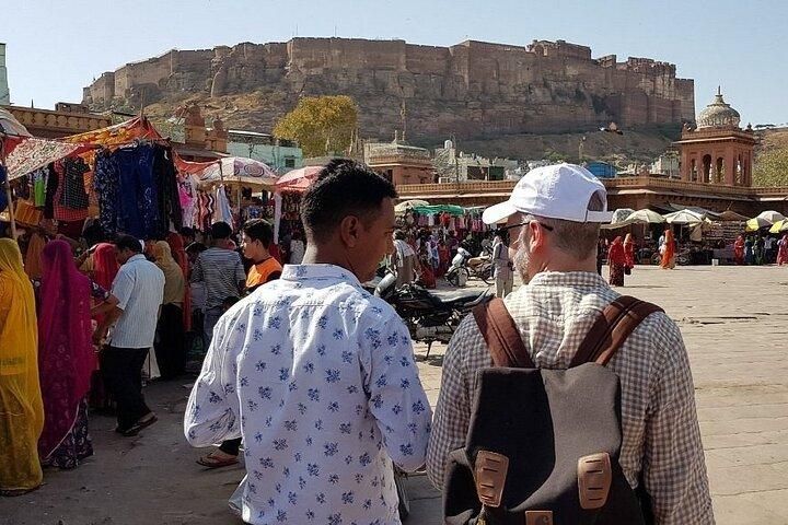 Full Day Udaipur Sightseeing Tour with optional Guide