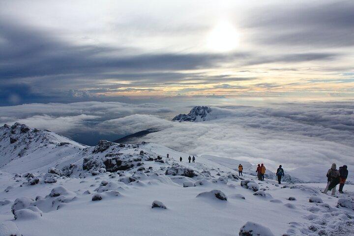 8 Days Mount Kilimanjaro Climbing Lemosho Route