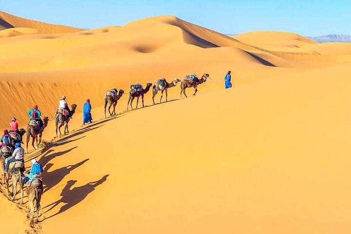 Giza Pyramids Tour: Private Guide, Saqqara & Lunch