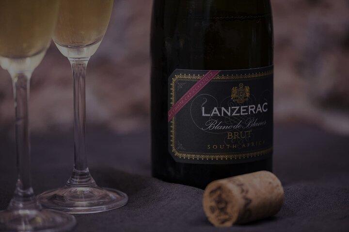 Private Full Day Wine Tasting of Western Cape