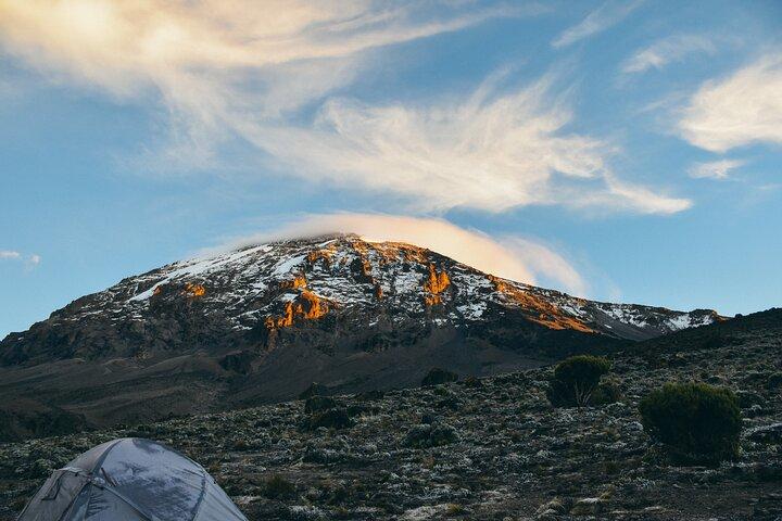 8 Days Mount Kilimanjaro Climbing Lemosho Route