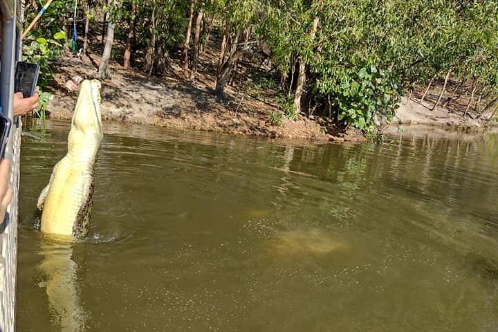 Darwin City Tour + Crocodile Cruise