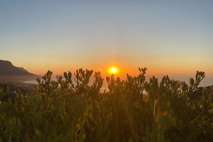 Table Mountain Full Day Trip, Zipline Adventure and Wine Tasting