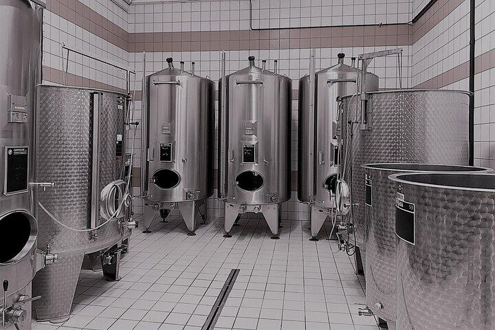 Champagne Munoz Bruneau : Half Day Visit and Tasting