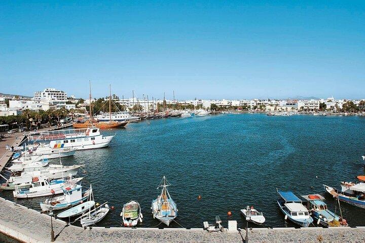 Guided Tour of Kos Town Asclepeion and Zia with Wine Tasting