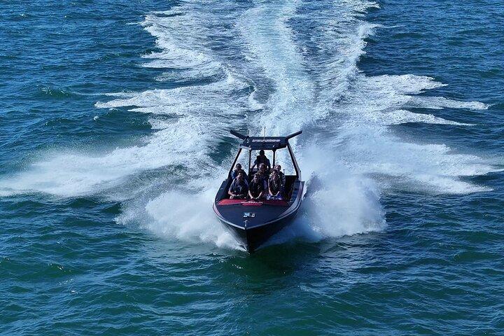 Noosa Ocean Adventures: Dolphins