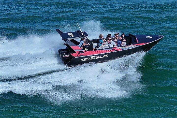 Noosa Ocean Adventures: Dolphins