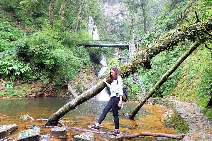 Sapa Private Car Tour to Silver & Love Waterfalls and Lonely Tree