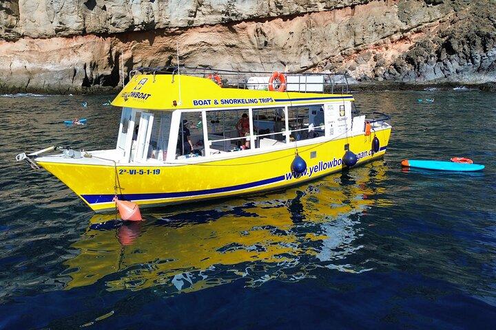 Mogan: Coastal Cruise, Food, Snorkel, Paddle Board & DRONE videos