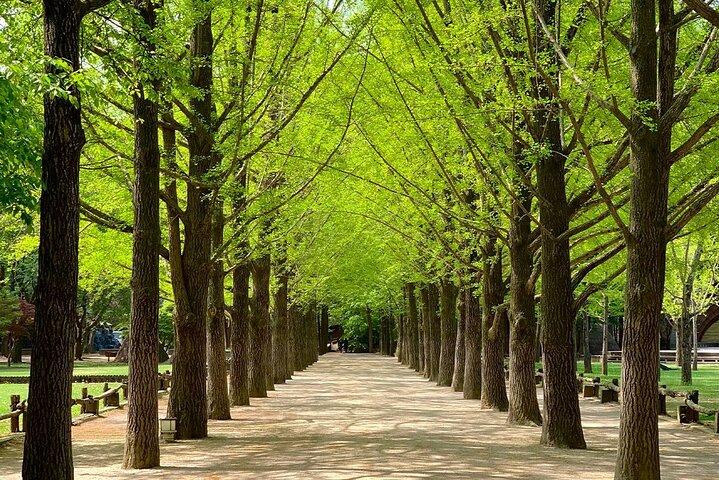Samaksan, Nami Island and Alpaca or Railbike tour from Seoul