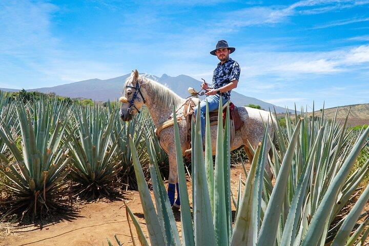 Tequila distillery experience, Jose Cuervo & Tequila Magic Town