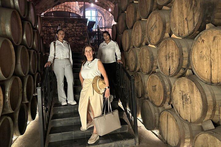 Tequila distillery experience, Jose Cuervo & Tequila Magic Town