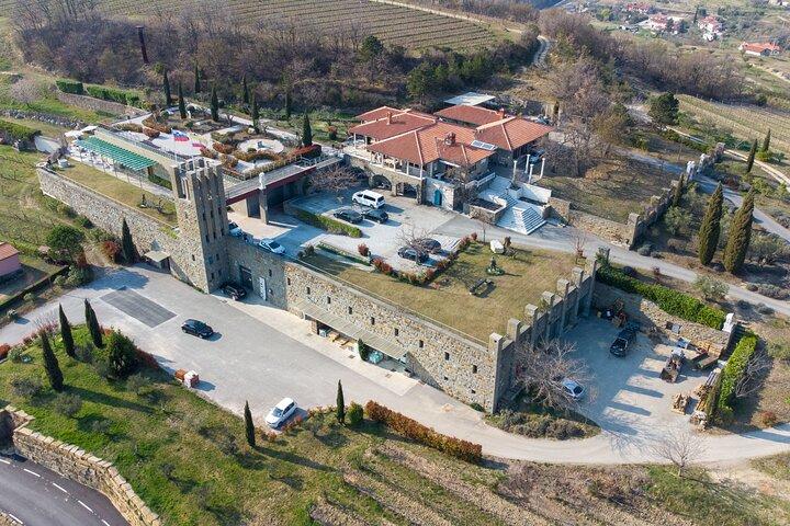 Wine Degustation in the Heart of Slovenian Istria