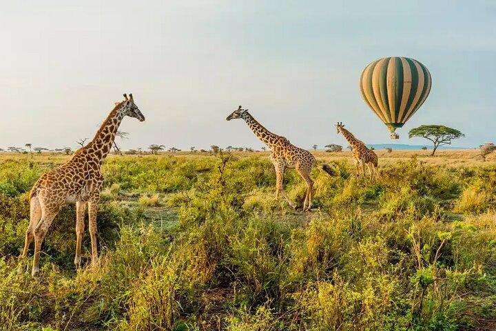 6 Days Tanzania Bush Experience Safari