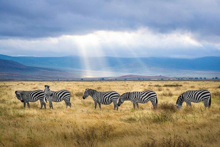 6 Days Tanzania Bush Experience Safari