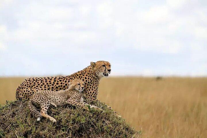 6 Days Tanzania Bush Experience Safari