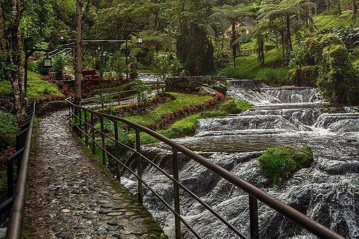 Private tour to Finca Cafetera y Thermales santa Rosa de Cabal