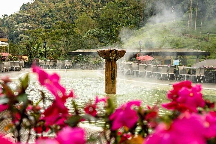 Private tour to Finca Cafetera y Thermales santa Rosa de Cabal