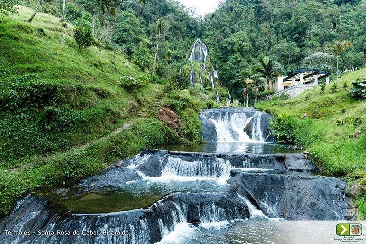 Private tour to Finca Cafetera y Thermales santa Rosa de Cabal