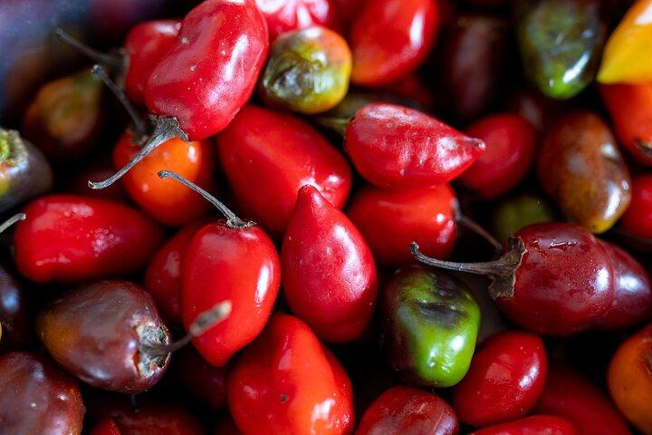 Cartagena Corner: The Street food and Hot Sauce Tasting