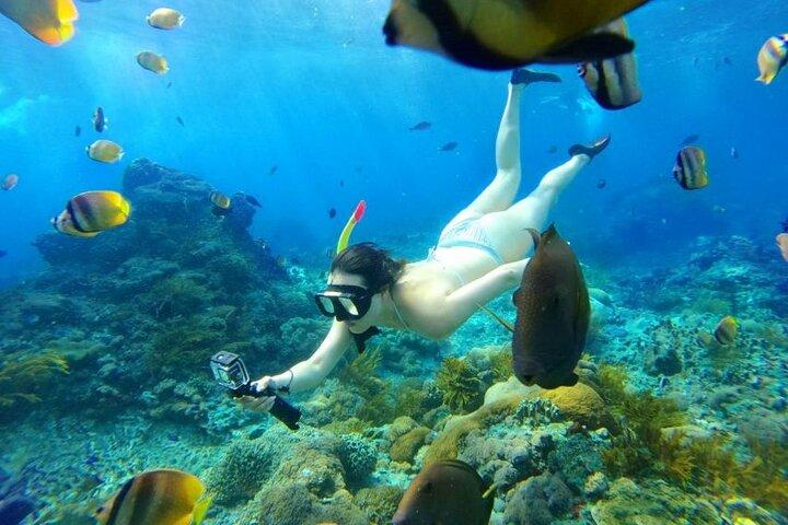 From Bali: Nusa Penida Snorkeling and Island Tour