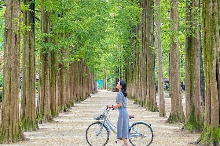 Nami Island, Alpaca, Petite France, K-Garden tour from Seoul
