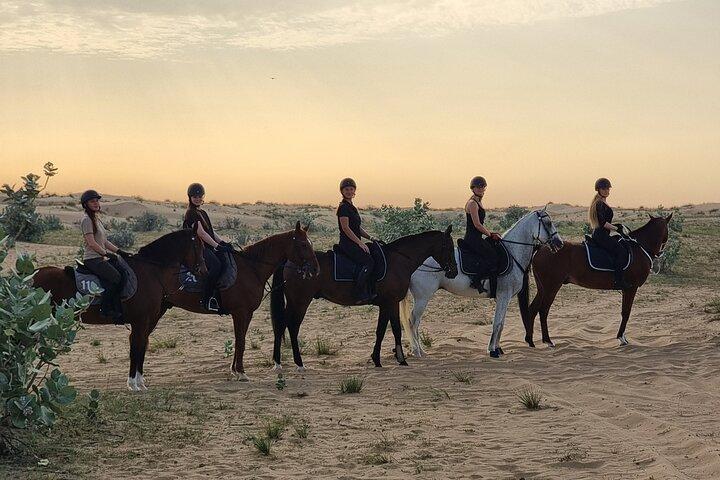 1 Hour Shared Desert Horse Riding Experience