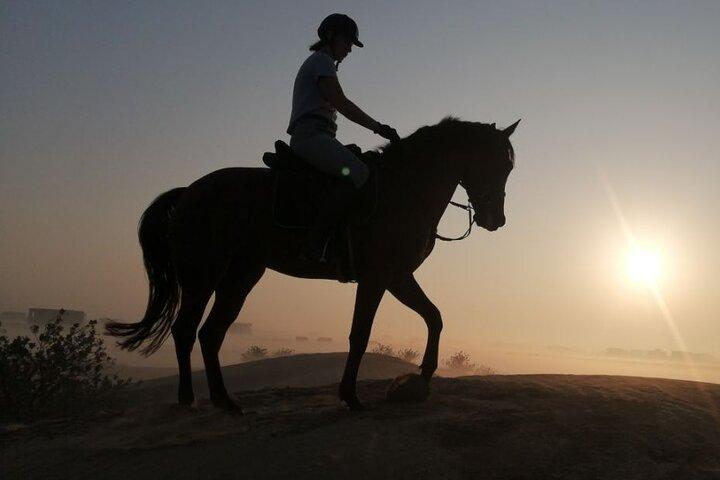 1 Hour Shared Desert Horse Riding Experience