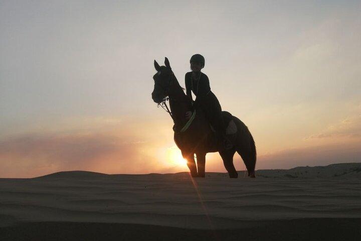 1 Hour Shared Desert Horse Riding Experience