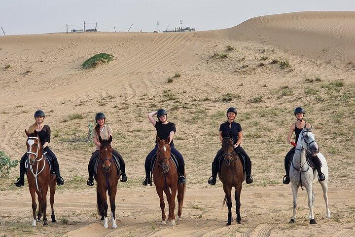 1 Hour Shared Desert Horse Riding Experience