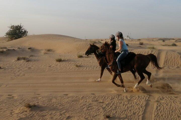 1 Hour Shared Desert Horse Riding Experience