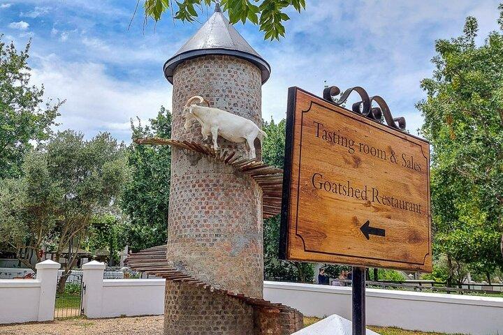 Experience 16 Wine Tasting & 6 Cheese Pairing across 3 Vineyards