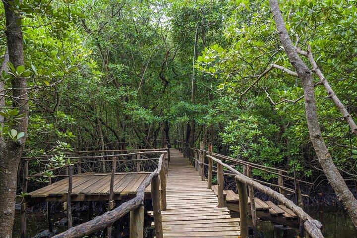 Jozani Forest Half Day Private Tour