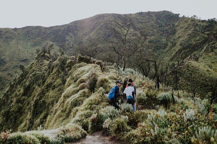 2 Days Tour to Mount Merbabu from Yogyakarta
